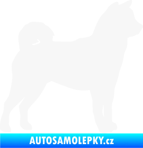 Samolepka Pes 191 pravá Shiba - Inu bílá