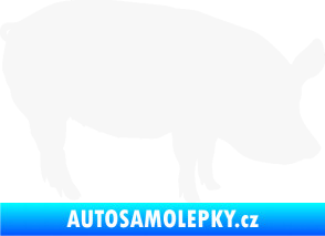 Samolepka Prase 001 pravá bílá