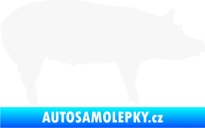 Samolepka Prase 002 pravá bílá