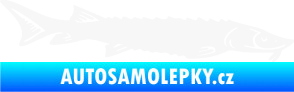 Samolepka Ryba 020 pravá jeseter bílá