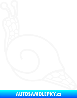 Samolepka Šnek 003 levá bílá