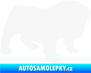 Samolepka Štěňátko 004 pravá francouzský buldoček bílá