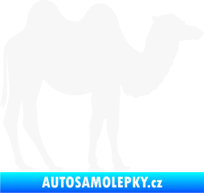 Samolepka Velbloud 003 pravá bílá