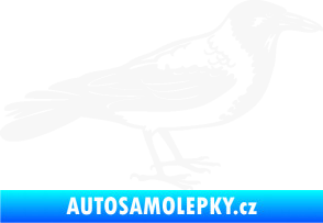 Samolepka Vrána 001 pravá bílá