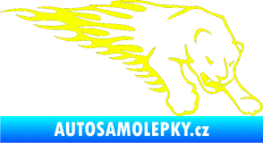Samolepka Animal flames 020 pravá puma Fluorescentní žlutá