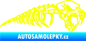 Samolepka Kostra lebky s páteří pravá Fluorescentní žlutá