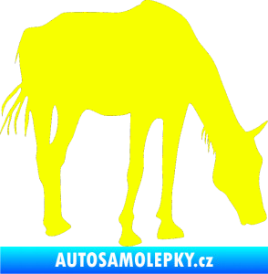 Samolepka Kůň 008 pravá Fluorescentní žlutá