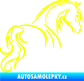 Samolepka Kůň 104 pravá Fluorescentní žlutá