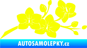 Samolepka Květina dekor 008 pravá orchidej Fluorescentní žlutá