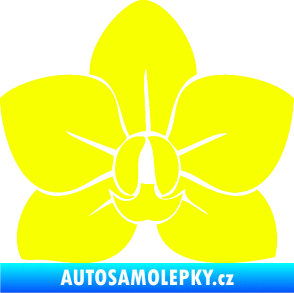 Samolepka Květina dekor 023 orchidej květ Fluorescentní žlutá