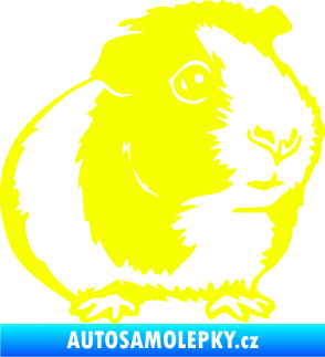 Samolepka Morče 003 pravá Fluorescentní žlutá