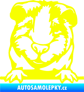 Samolepka Morče 004 levá Fluorescentní žlutá