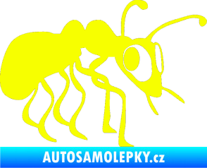 Samolepka Mravenec 001 pravá Fluorescentní žlutá