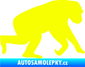 Samolepka Opice 001 pravá Fluorescentní žlutá