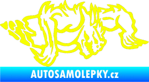 Samolepka Ostnatej pravá Fluorescentní žlutá