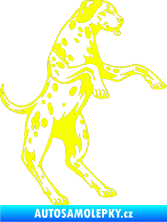Samolepka Pes 003 pravá Dalmatin Fluorescentní žlutá