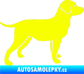 Samolepka Pes 062 pravá Labrador Fluorescentní žlutá