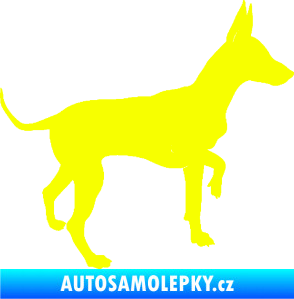 Samolepka Pes 093 pravá Pražský krysařík Fluorescentní žlutá