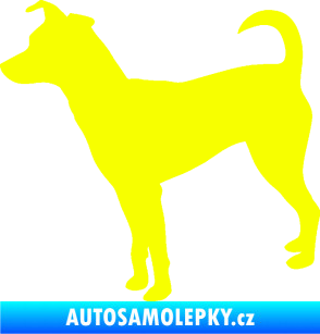 Samolepka Pes 100 levá Pražský krysařík Fluorescentní žlutá