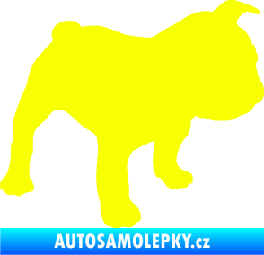 Samolepka Pes 108 pravá Francouzský buldoček Fluorescentní žlutá