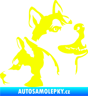 Samolepka Pes 117 pravá husky Fluorescentní žlutá