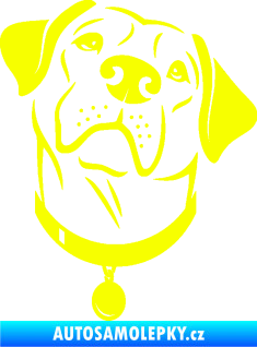 Samolepka Pes 119 pravá Labrador Fluorescentní žlutá