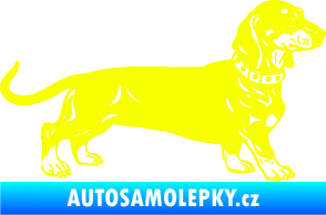 Samolepka Pes 122 pravá jezevčík Fluorescentní žlutá