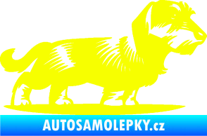 Samolepka Pes 133 pravá drsnosrstý jezevčík Fluorescentní žlutá