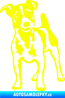 Samolepka Pes 144 levá Jack Russel terier Fluorescentní žlutá