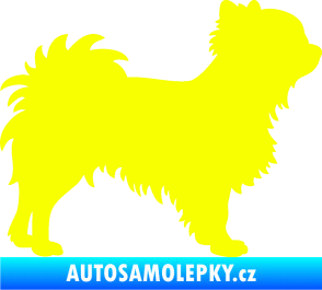 Samolepka Pes 156 pravá čivava Fluorescentní žlutá