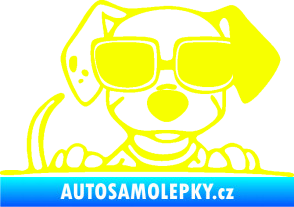 Samolepka Pes s brýlemi 101 pravá v autě Fluorescentní žlutá