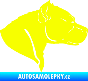Samolepka Pitbull 004 pravá Fluorescentní žlutá