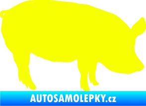Samolepka Prase 001 pravá Fluorescentní žlutá
