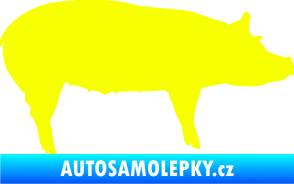 Samolepka Prase 002 pravá Fluorescentní žlutá
