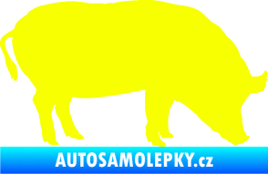 Samolepka Prase 004 pravá Fluorescentní žlutá