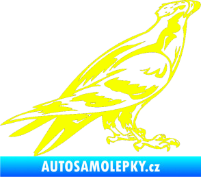 Samolepka Predators 006 pravá Fluorescentní žlutá