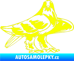 Samolepka Predators 047 pravá Fluorescentní žlutá