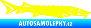Samolepka Ryba 020 pravá jeseter Fluorescentní žlutá