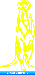 Samolepka Surikata 001 pravá Fluorescentní žlutá