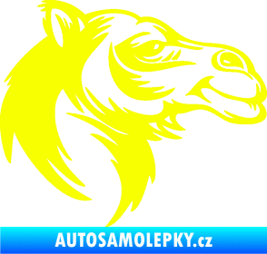 Samolepka Velbloud 004 pravá hlava Fluorescentní žlutá