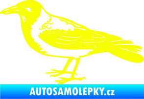 Samolepka Vrána 001 levá Fluorescentní žlutá