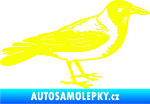 Samolepka Vrána 001 pravá Fluorescentní žlutá