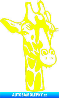 Samolepka Žirafa 001 pravá Fluorescentní žlutá