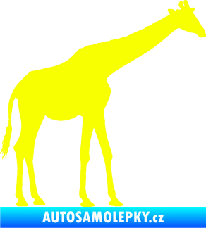 Samolepka Žirafa 002 pravá Fluorescentní žlutá