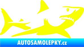 Samolepka Žralok 015 pravá Fluorescentní žlutá