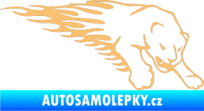 Samolepka Animal flames 020 pravá puma béžová