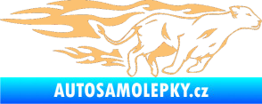 Samolepka Animal flames 084 pravá lvice béžová