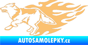 Samolepka Animal flames 090 levá vlk béžová
