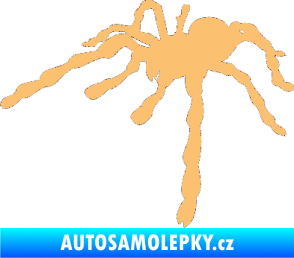 Samolepka Pavouk 013 - levá béžová