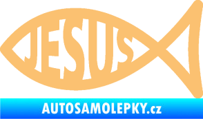 Samolepka Jesus rybička 003 křesťanský symbol béžová